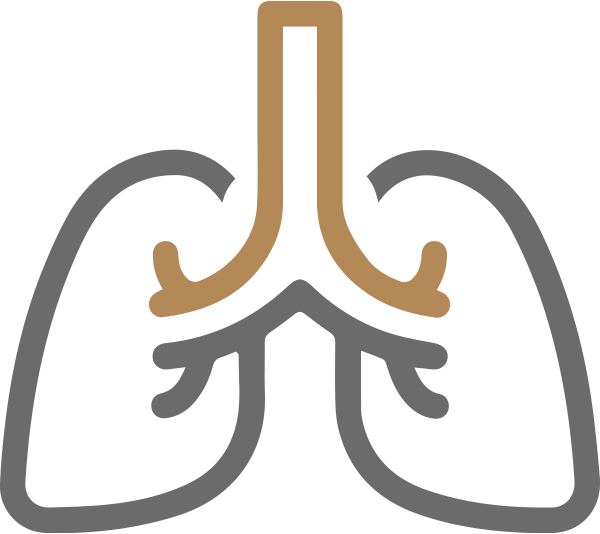 Low-Dose Lung CT